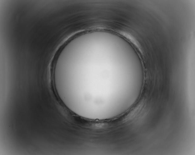 X0000089361031200706150819