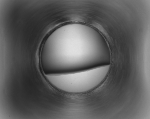 X0000089361032200706150819