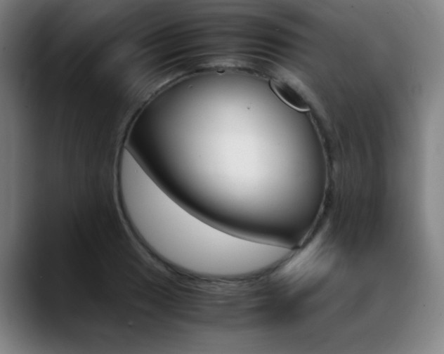 X0000089361033200706150819