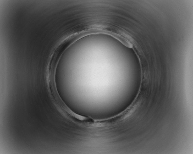 X0000089361034200706150819
