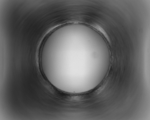 X0000089361035200706150819