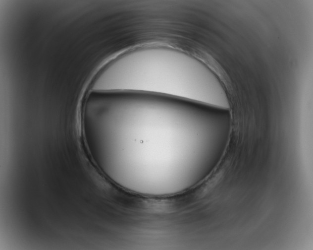 X0000089361036200706150819