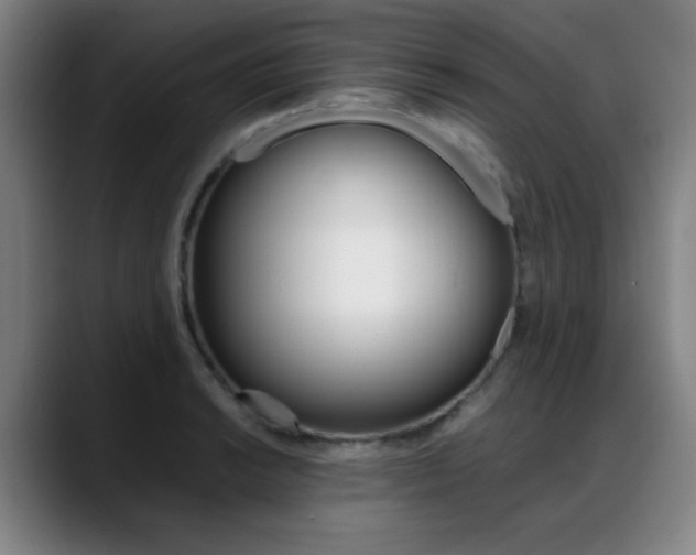 X0000089361038200706150819