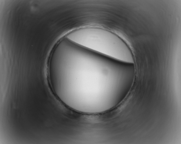 X0000089361040200706150819
