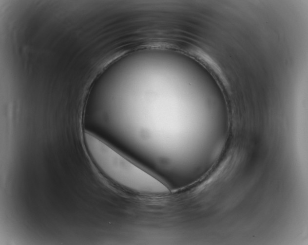 X0000089361041200706150819