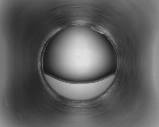 X0000089361042200706150819