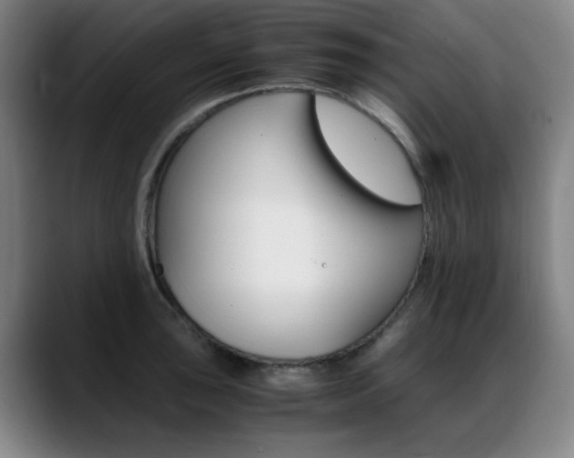 X0000089361043200706150819