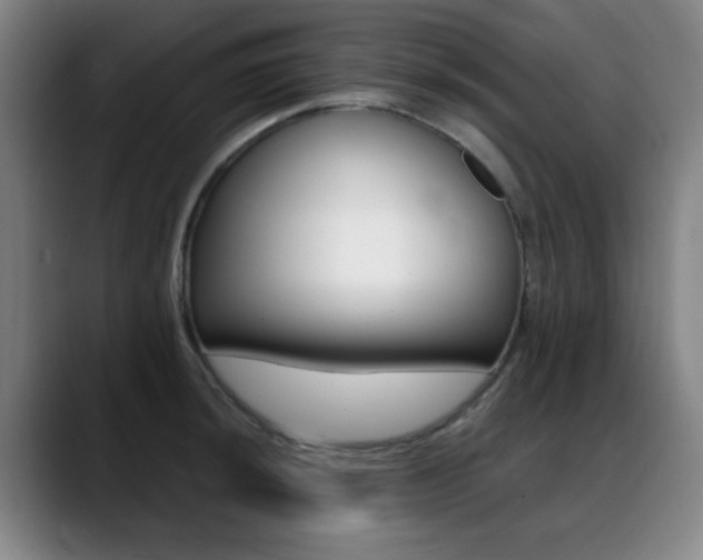 X0000089361044200706150819