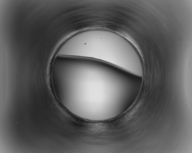 X0000089361045200706150819