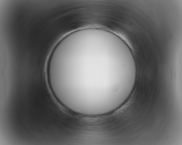 X0000089361046200706150819