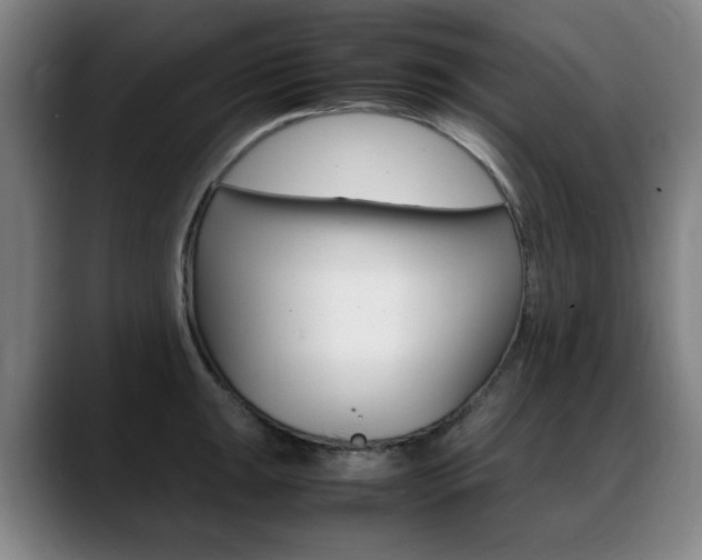 X0000089361047200706150819