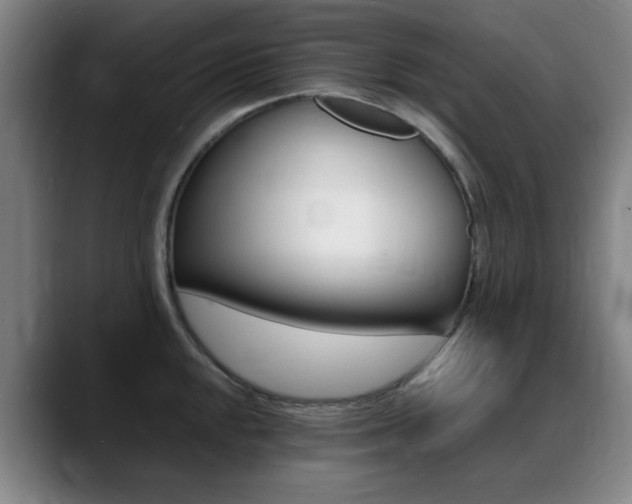 X0000089361048200706150819