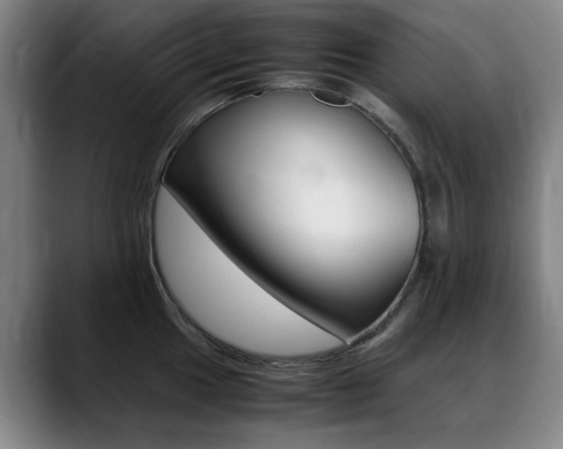 X0000089361049200706150819