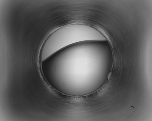 X0000089361050200706150819