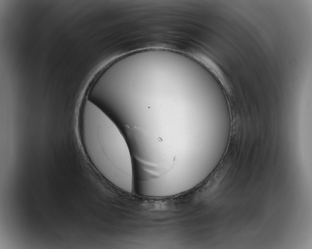 X0000089361051200706150819