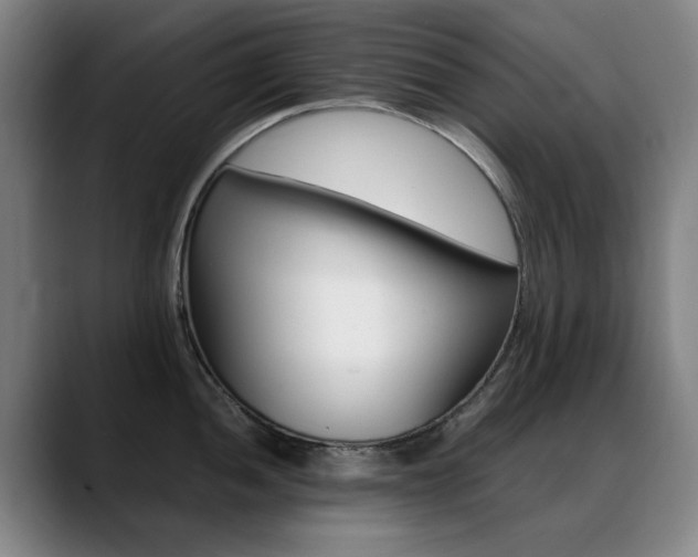 X0000089361052200706150819