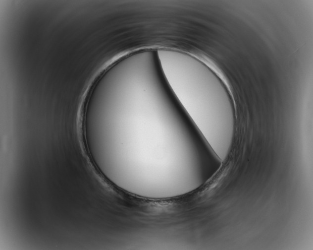 X0000089361053200706150819