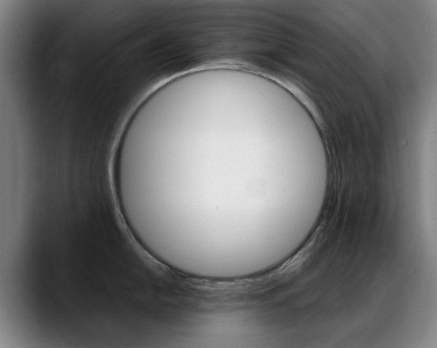 X0000089361054200706150819