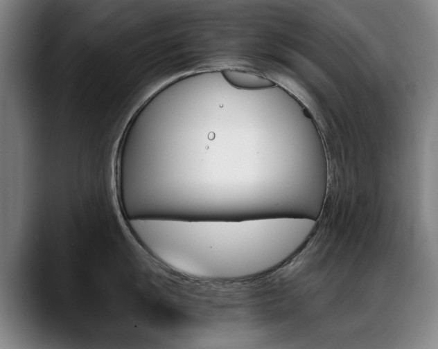X0000089361055200706150819