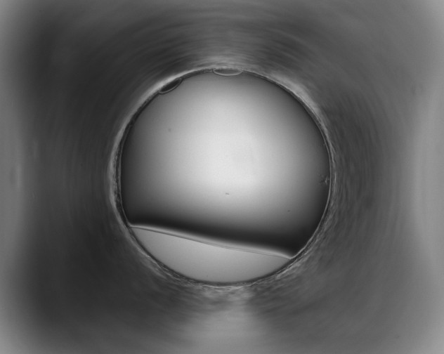 X0000089361056200706150819