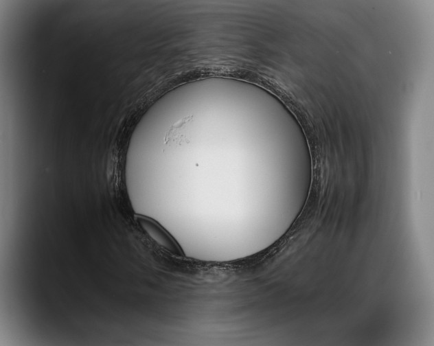 X0000089361058200706150819