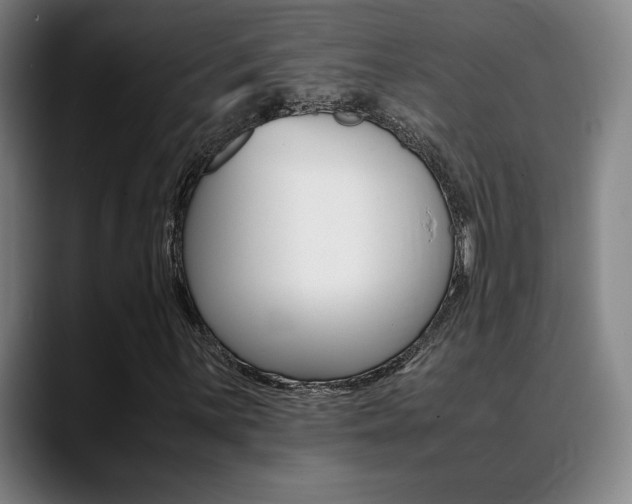 X0000089361059200706150819