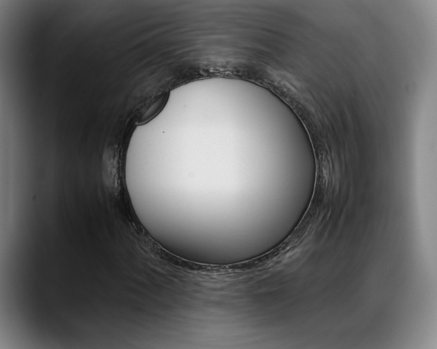 X0000089361060200706150819