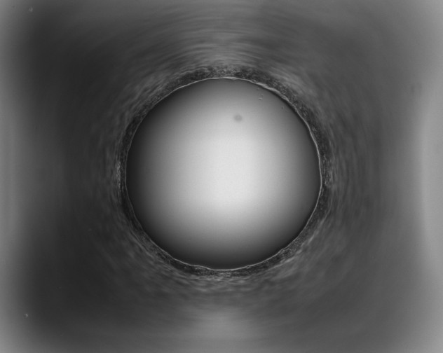 X0000089361061200706150819
