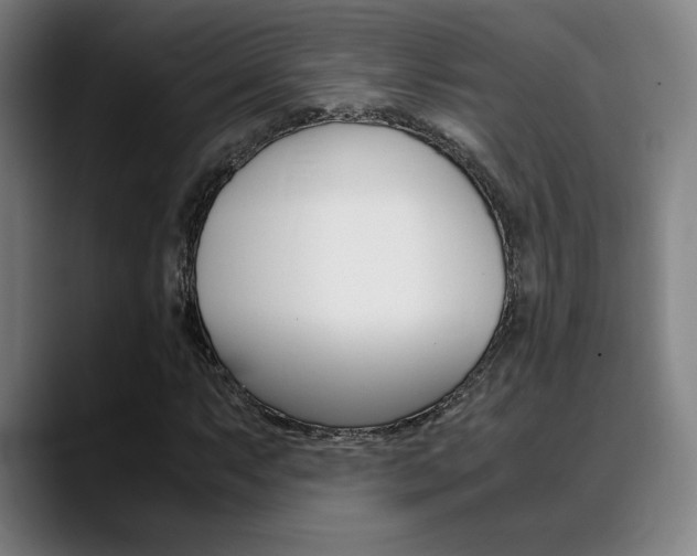 X0000089361063200706150819