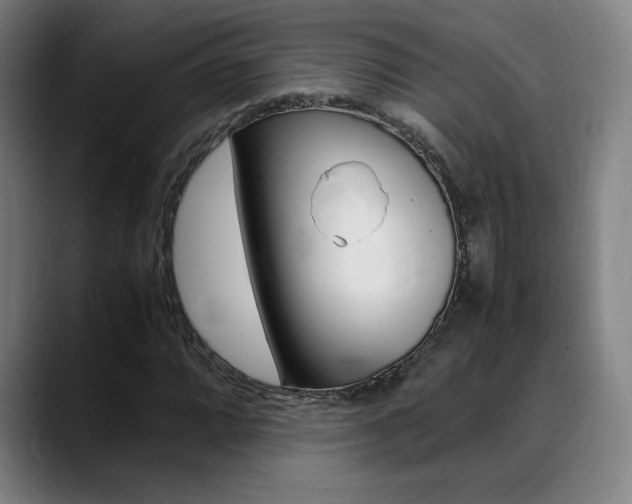 X0000089361064200706150818