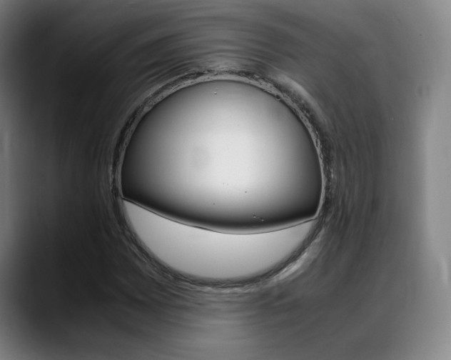 X0000089361065200706150818