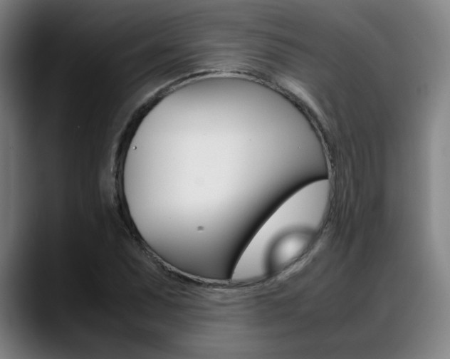 X0000089361071200706150818