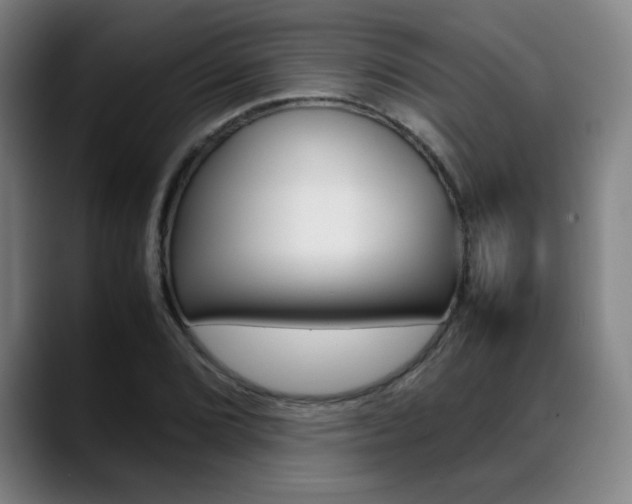 X0000089361072200706150818