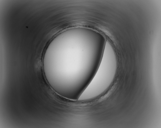 X0000089361073200706150818