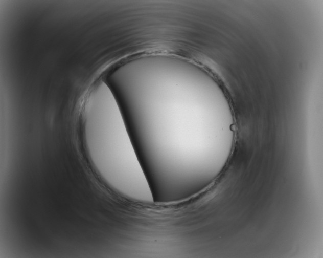 X0000089361075200706150818
