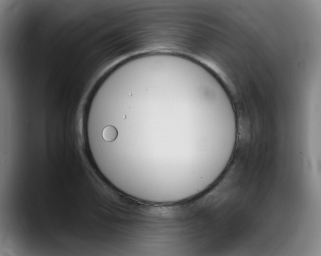 X0000089361078200706150818