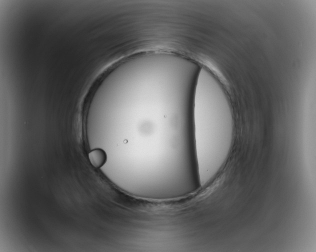 X0000089361079200706150818