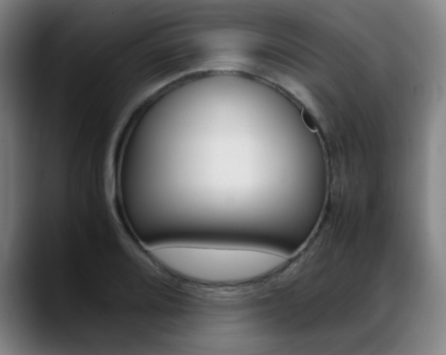 X0000089361080200706150818