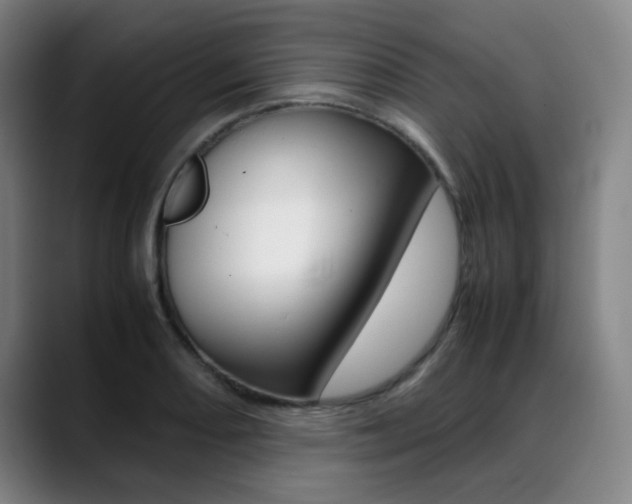 X0000089361082200706150818