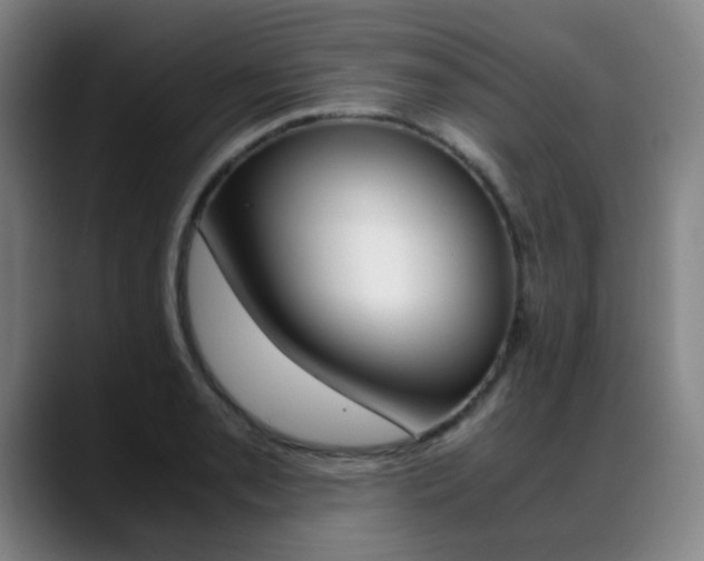 X0000089361085200706150818