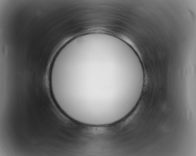 X0000089361090200706150818