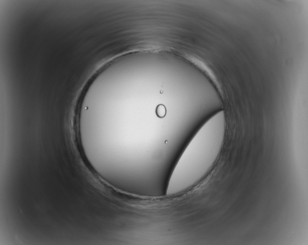 X0000089361091200706150818