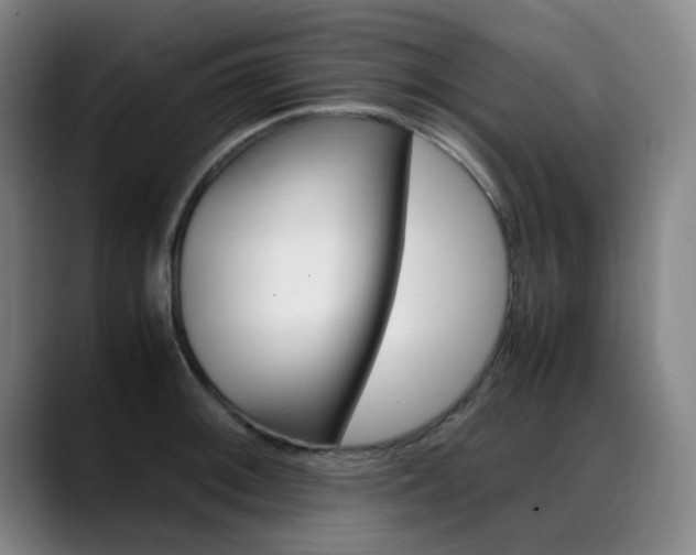 X0000089361092200706150818