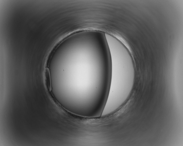 X0000089361093200706150818