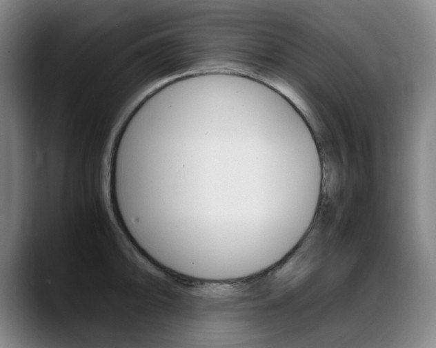 X0000089361094200706150818
