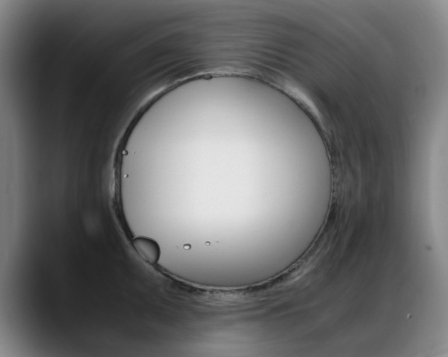X0000089361095200706150818