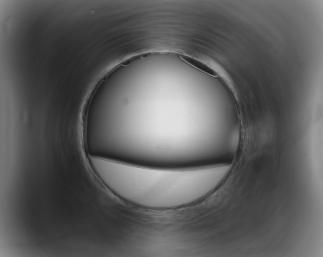 X0000089361096200706150818