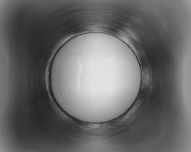 X0000089361098200706150818