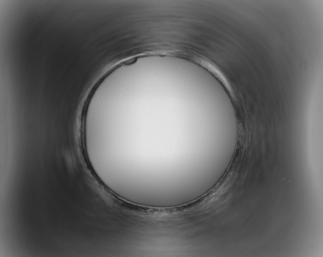 X0000089361099200706150818