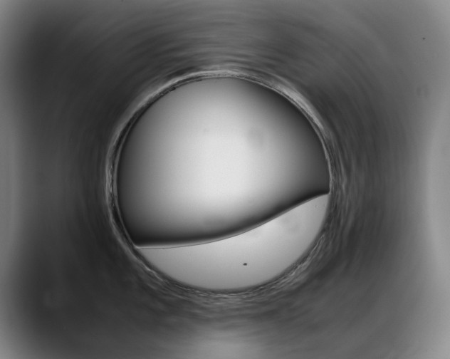 X0000089361101200706150818